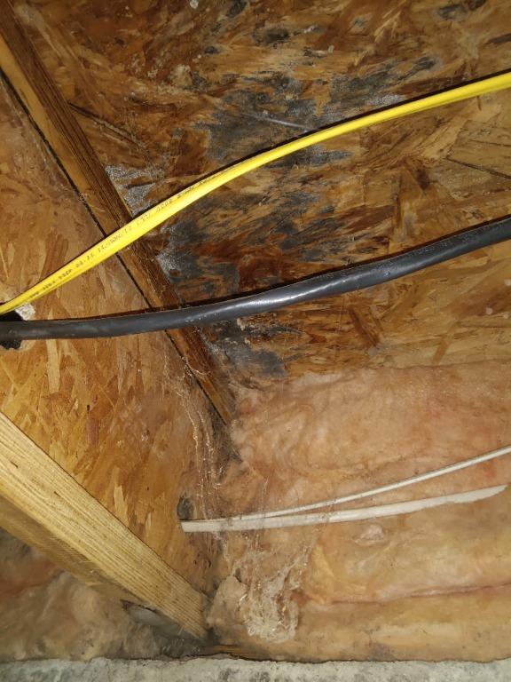 Room with wires and insulation